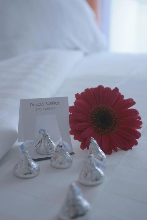 Hotel Lugano Suites ボゴタ エクステリア 写真